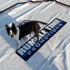 Meet your Posher, Trevor